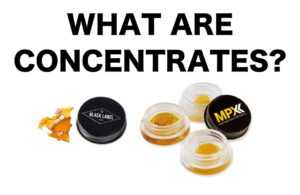 You’ve heard about flowers, cartridges, and edibles. But what are concentrates?